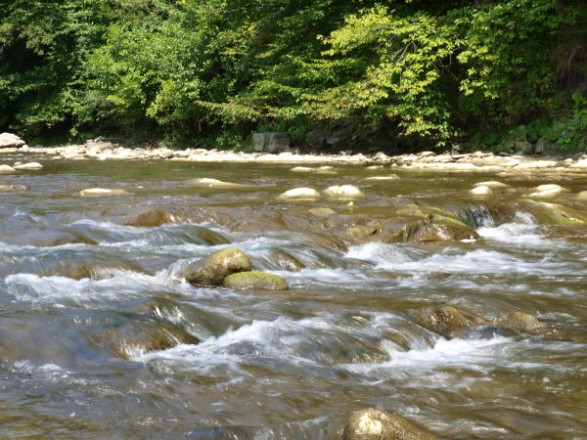 Уровень воды в реках Закарпатья повысится: подробности