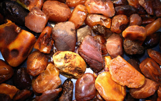 Полиция изъяла янтаря на 30 миллионов долларов