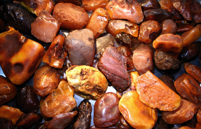 Полиция изъяла янтаря на 30 миллионов долларов