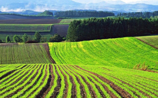 В Україні з’явилась онлайн-версія кадастрової карти: подробиці