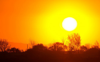 Екстремальна спека у світі: в ООН оголосили надзвичайну кліматичну ситуацію