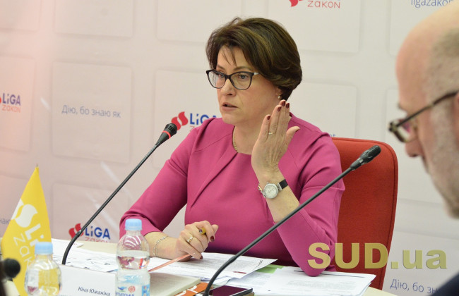 Ніна Южаніна: проект створення Служби фінансових розслідувань — це топтання на місці