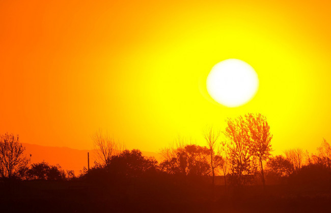 Екстремальна спека у світі: в ООН оголосили надзвичайну кліматичну ситуацію