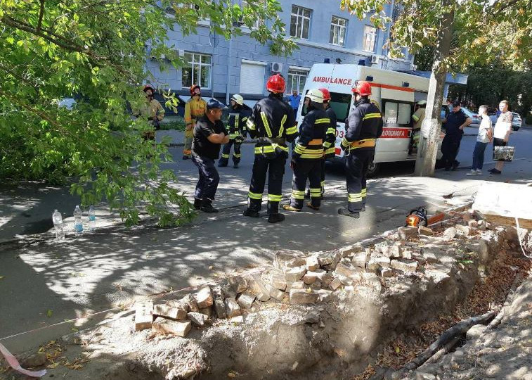 В Києві на жінку впало дерево