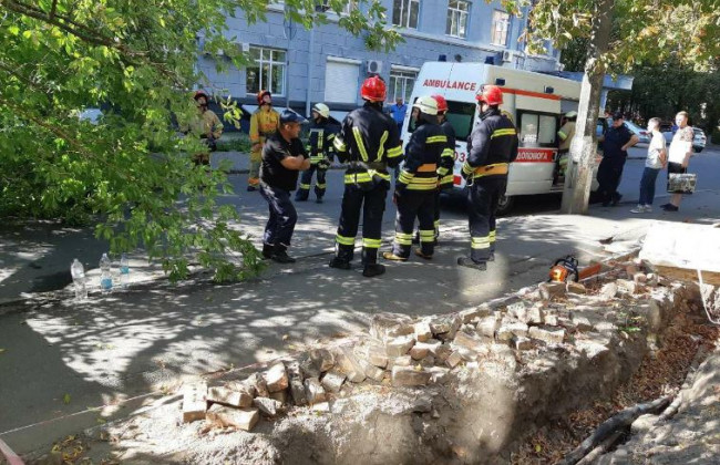 В Києві на жінку впало дерево