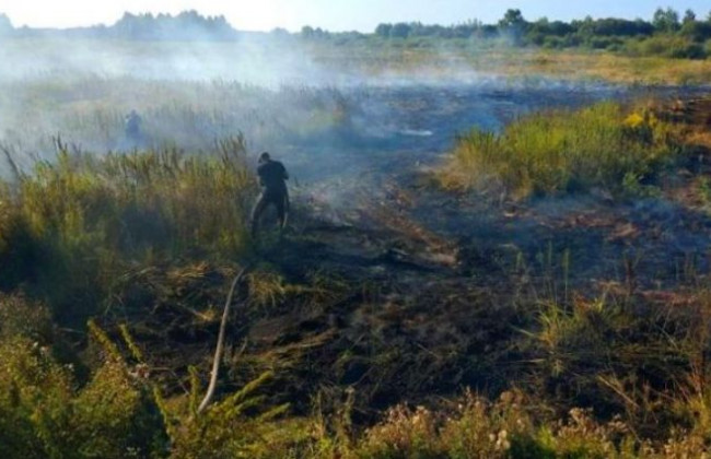 Масштабный пожар под Киевом: что известно