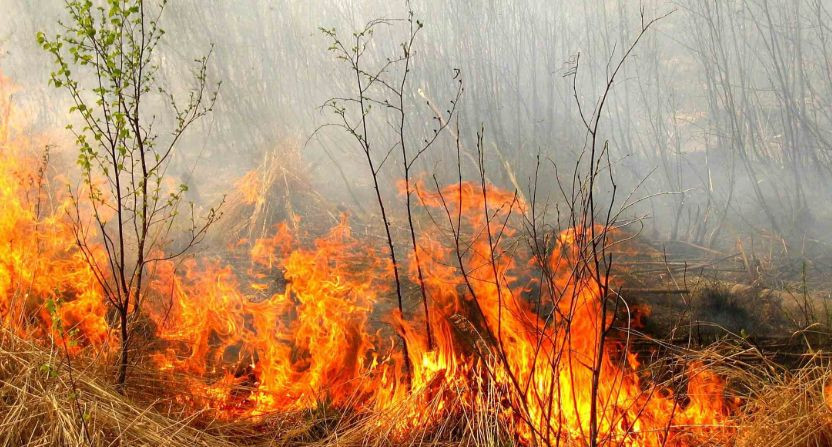 Киевлян предупредили о чрезвычайной пожарной опасности: что нужно знать