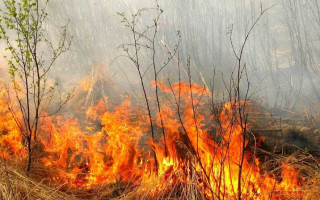 Киевлян предупредили о чрезвычайной пожарной опасности: что нужно знать