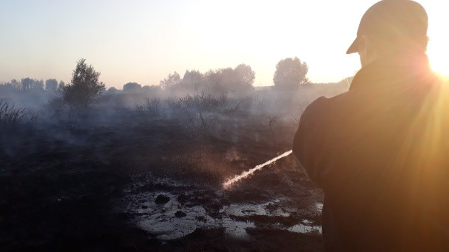 Масштабный пожар в Киевской области: что известно