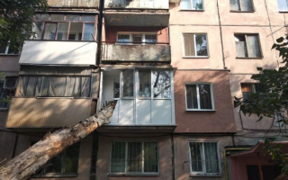 В Кривом Роге дерево упало прямо в квартиру, фото