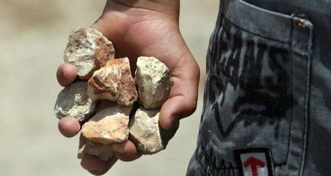 Инцидент на торжественной линейке во Львове: неизвестные забросали камнями школу