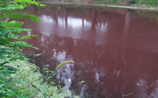 Киян налякало почервоніле озеро на Осокорках, фото