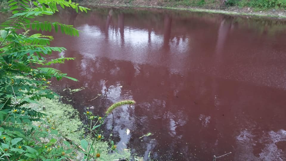 Киян налякало почервоніле озеро на Осокорках, фото