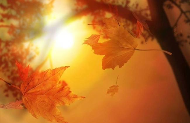 Выходные в сентябре: сколько дней будут отдыхать трудящиеся