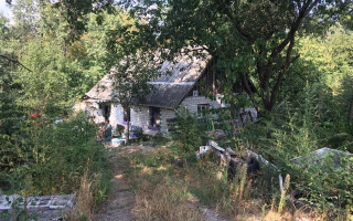 Жестокое нападение под Киевом: мужчина ворвался в дом пожилой женщины