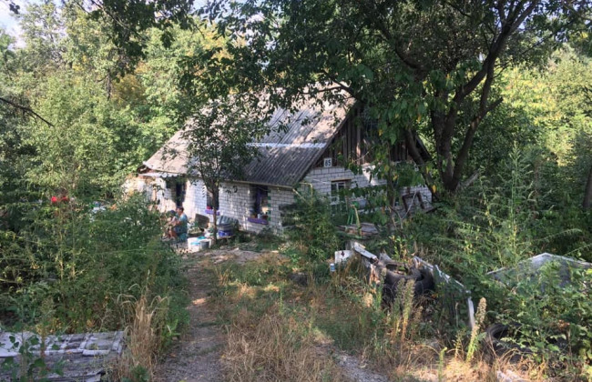 Жестокое нападение под Киевом: мужчина ворвался в дом пожилой женщины