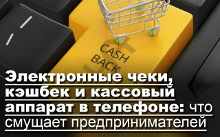 Электронные чеки, кэшбек и кассовый аппарат в телефоне: что смущает предпринимателей