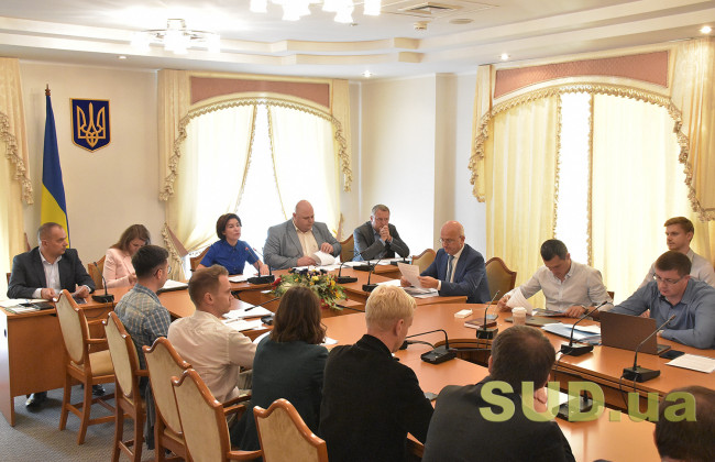 Какие замечания к законопроекту Президента о судебной реформе высказало Представительство Европейского союза в Украине, документ