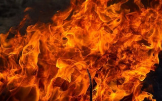 Трагедія на Полтавщині: господар будинку згорів разом із собаками