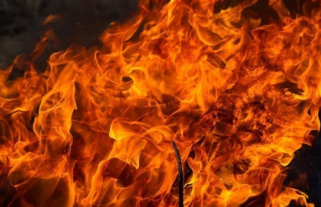 Трагедія на Полтавщині: господар будинку згорів разом із собаками