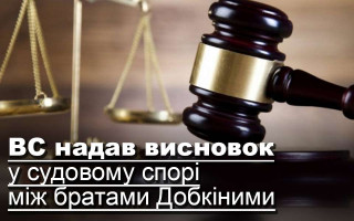 ВС надав висновок у судовому спорі між братами Добкіними