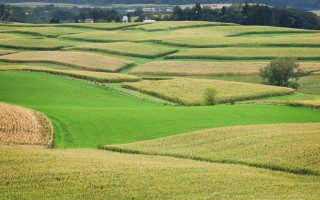 На Харківщині фермер відшкодував ₴200 000 за самовільне захоплення землі