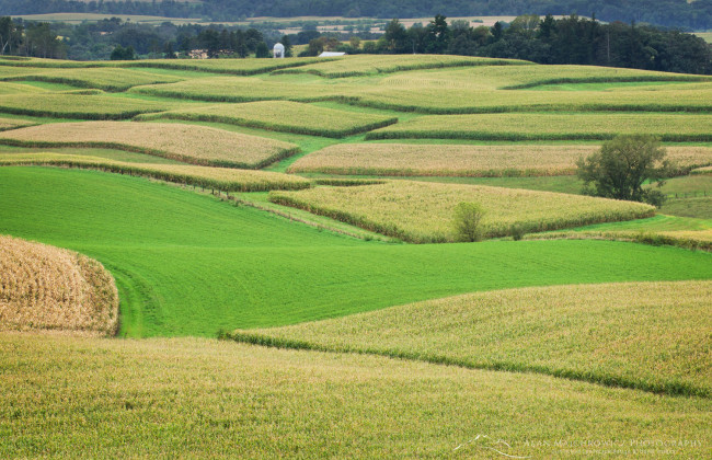 На Харківщині фермер відшкодував ₴200 000 за самовільне захоплення землі