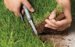 Непогодження меж земельної ділянки із суміжними землевласниками: постанова КЦС ВС