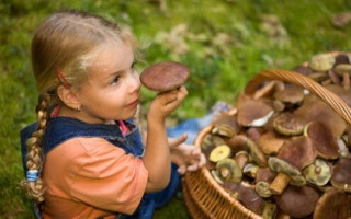 Масове отруєння грибами у Чернівецькій області: 5 людей в реанімації