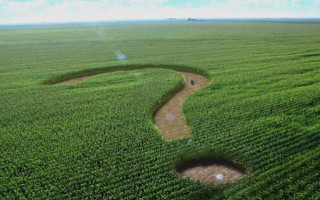 Майже половина українців проти скасування мораторію на продаж землі: соцопитування