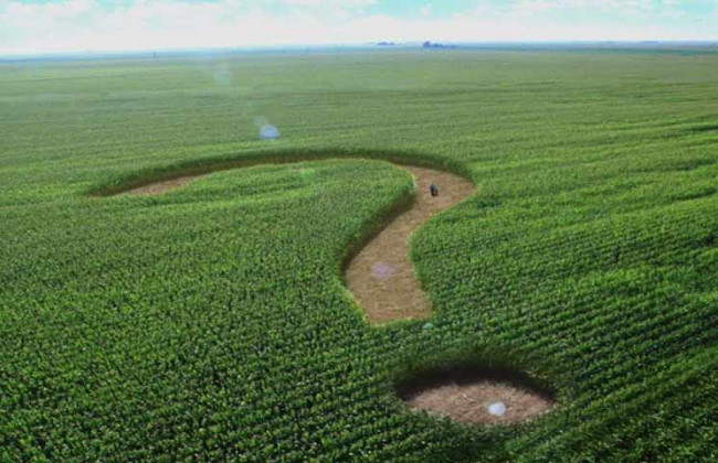 Майже половина українців проти скасування мораторію на продаж землі: соцопитування