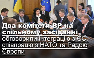 Два комітети ВР на спільному засіданні обговорили інтеграцію з ЄС, співпрацю з НАТО та Радою Європи