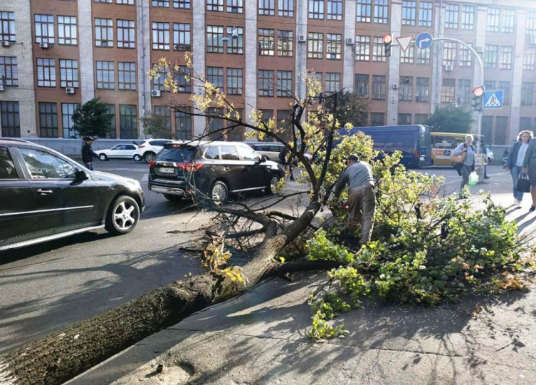 У Києві вирувала негода: з’явилися фото наслідків шквального вітру