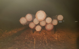 Инцидент под Киевом: полицейский избил лесничего, а затем переехал машиной