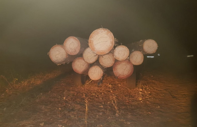 Инцидент под Киевом: полицейский избил лесничего, а затем переехал машиной