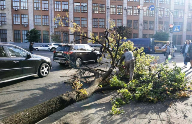 У Києві вирувала негода: з’явилися фото наслідків шквального вітру