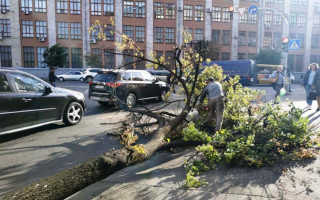 У Києві вирувала негода: з’явилися фото наслідків шквального вітру