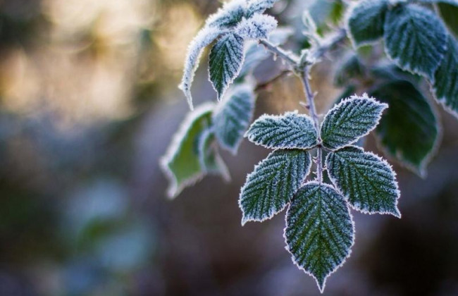 Заморозки та шквальний вітер: в Україні очікується погіршення погодних умов