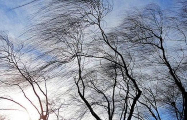 Украинцев предупредили о ночных заморозках: когда ожидать