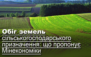 Обіг земель сільськогосподарського призначення: що пропонує Мінекономіки