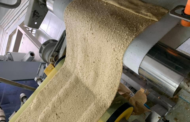 Киевлянин придумал технологию производства бумаги из опавших листьев: подробности