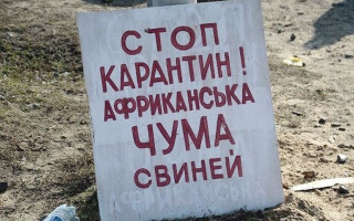 В одній з областей України зафіксований спалах африканської чуми