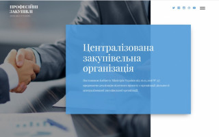 «Професійні закупівлі»: в Україні створена перша централізована закупівельна організація