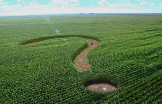 Уряд затвердив проект закону про ринок землі