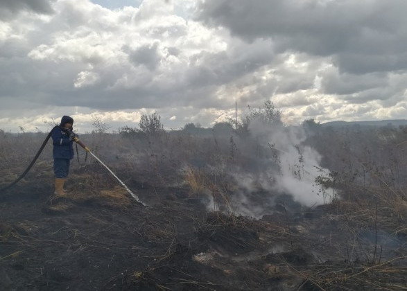 Пожежа під Львовом: торф’яники горять майже два тижні