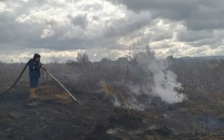 Пожежа під Львовом: торф’яники горять майже два тижні