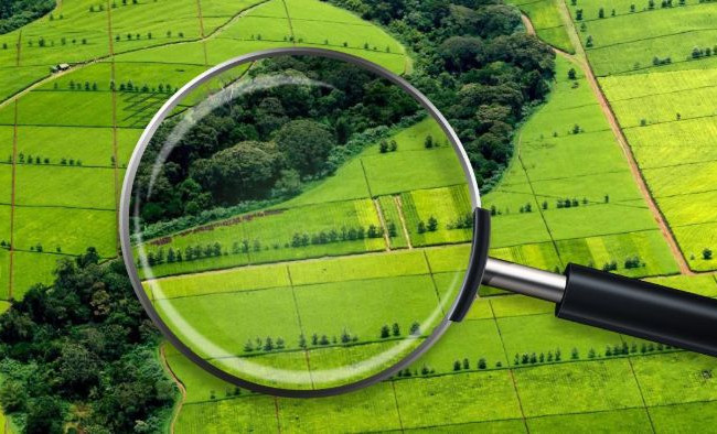 Законопроекти про обіг землі обговорюють в закритому режимі