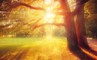 На Украину надвигается мощная магнитная буря