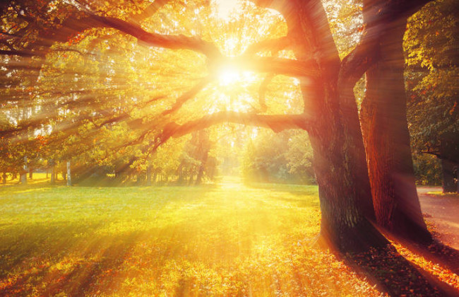 На Украину надвигается мощная магнитная буря