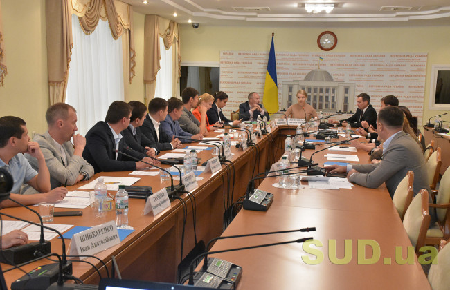 Комітет ВР підтримав норму про декларації помічників суддів